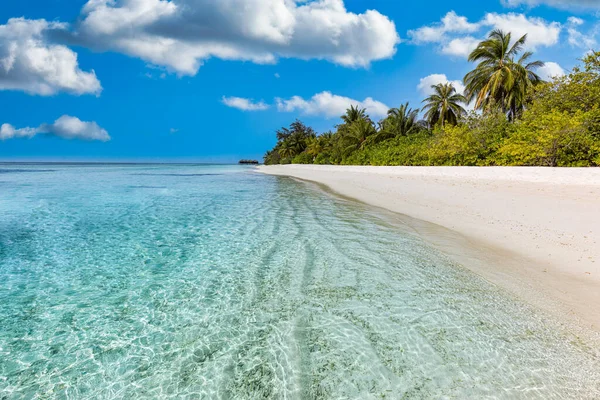 Krásná Tropická Pláž Slunečný Den — Stock fotografie
