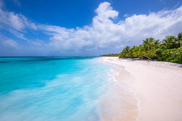 Schöner Tropischer Meeresstrand Sonnigem Tag — Stockfoto