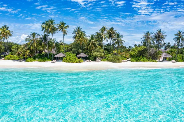 Beautiful Tropical Beach Palm Trees Blue Sky — Stock Photo, Image