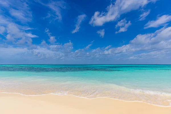 Prachtig Tropisch Zeestrand Zonnige Dag — Stockfoto