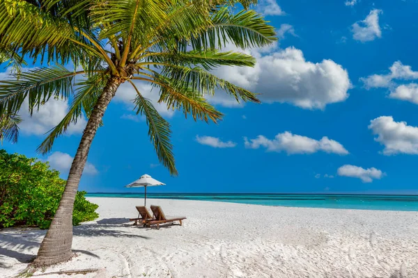Hermosa Playa Tropical Con Sillas Sombrilla — Foto de Stock