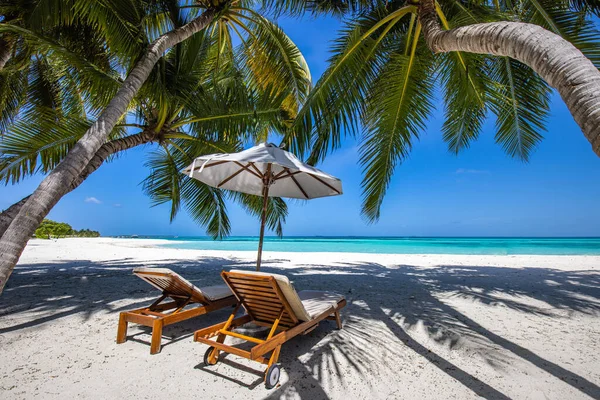 美丽的热带海滩 有椅子和伞 — 图库照片
