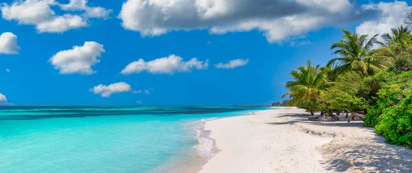 美丽的热带海滩 有棕榈树 — 图库照片