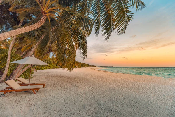 Hermosa Playa Tropical Con Sombrilla Sillas Atardecer — Foto de Stock