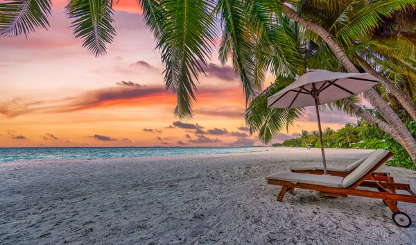 椅子と傘のある美しい熱帯のビーチ — ストック写真