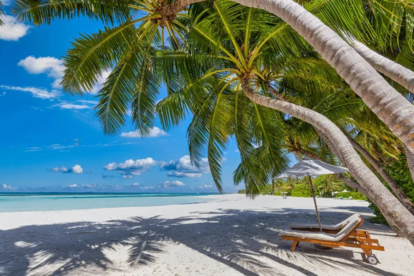 Vakker Strand Med Paraply Stoler – stockfoto