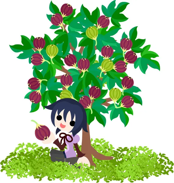 Fig Tree — Stock Illustration Fig Tree Royalty Free Stock Vectors