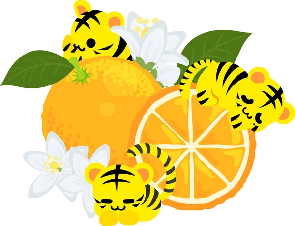 Ilustración Tigres Lindos Naranja — Archivo Imágenes Vectoriales