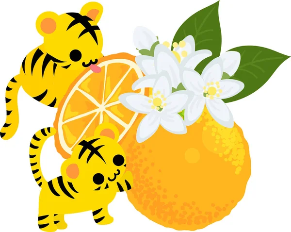 Illustration Cute Tigers Orange — Stock Vector