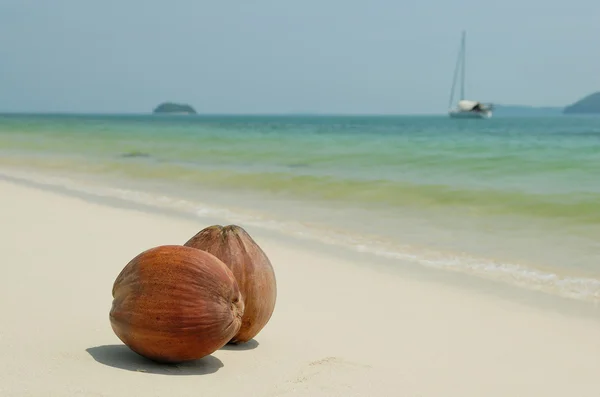 Cocos en la playa de arena blanca de Tailandia — Foto de Stock