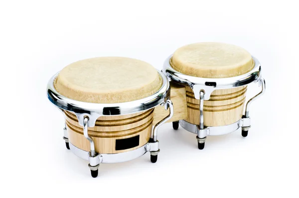 Bongo