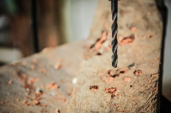 Boren over oude hout — Stockfoto