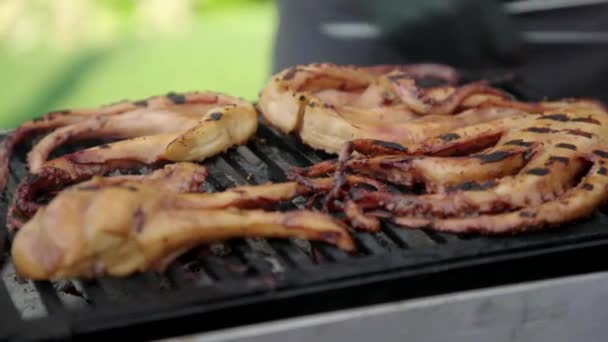 Poulpe Cuit Sur Gril Sur Barbecue — Video