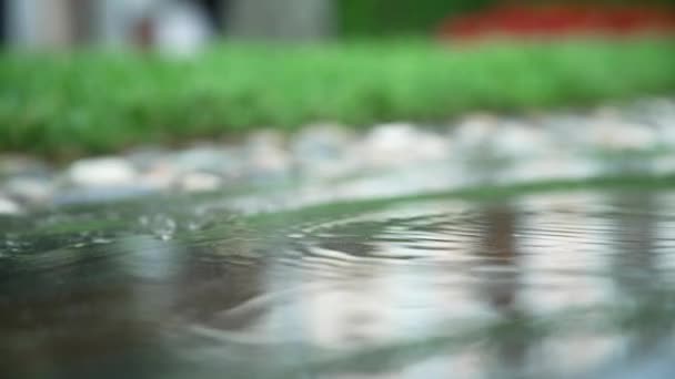 水面上的雨滴会产生反光和圆圈 — 图库视频影像