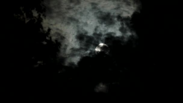 Mysterious Full Moon Clouds — Vídeo de Stock