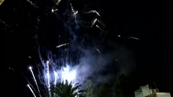 Spectacular Colorful Fireworks Celebrate Holiday — Stockvideo