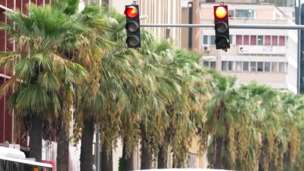 Double Traffic Light Becomes First Orange Green — Stock video