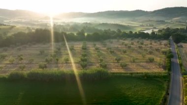 drone flies over the fields at dawn of the Tuscan Maremma