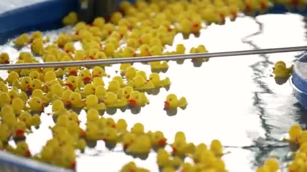 Tub Full Yellow Plastic Ducks — Stock videók