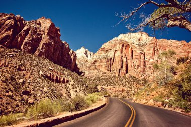 Zion Kanyon Milli Parkı, utah