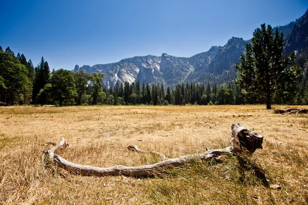 Vista panorâmica do Vale de Yosemite, Califórnia — Fotografia de Stock