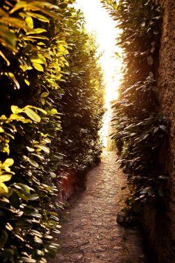 Ravello, amalfi coast, İtalya.
