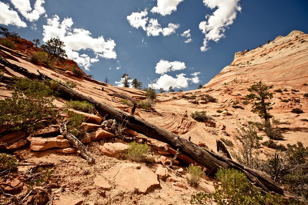 Parc national de Zion, États-Unis — Photo