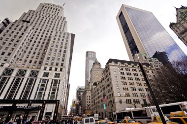 Central park ve plaza hotel IB new york city