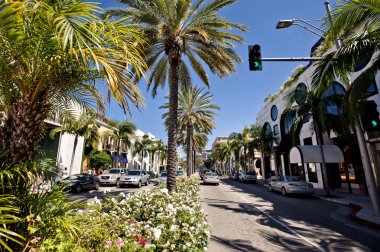 Rodeo drive boyunca güneşli bir gün