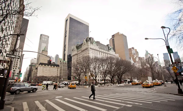 Central Park in New York City Stockafbeelding