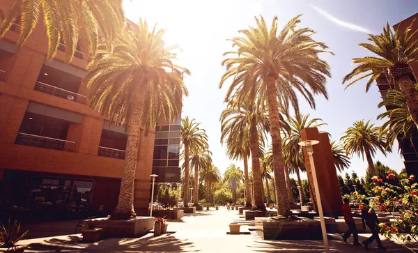 Google Genel Müdürlük, palo alto