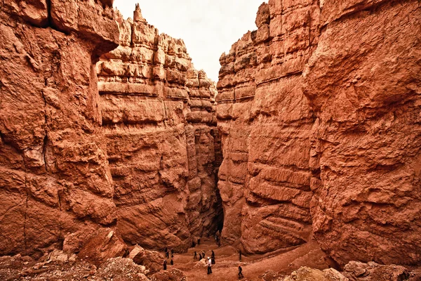 Bryce Canyon Nemzeti Park — Stock Fotó