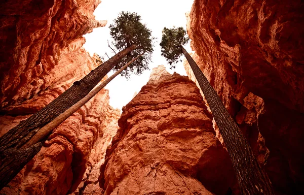 Parque Nacional Bryce Canyon — Fotografia de Stock