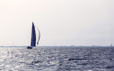 Beyaz yelkenli yelkenli gemiler