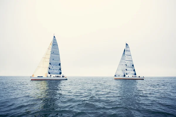 Zeilboot jachten met witte zeilen — Stockfoto