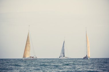Beyaz yelkenli yelkenli gemiler