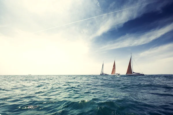 Yachts à voile avec voiles blanches — Photo