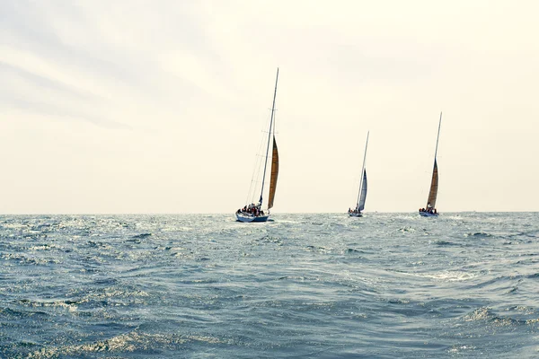 Sailing ship yachts with white sails — Stock Photo, Image