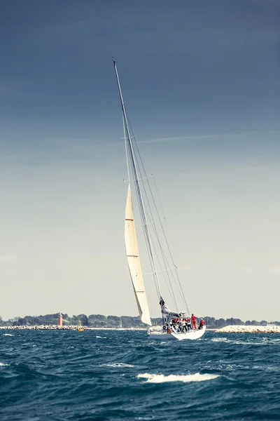 Segling fartyg yachter med vita segel — Stockfoto