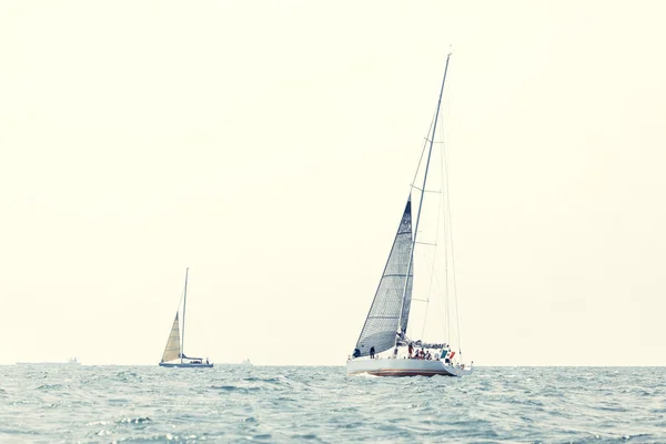 Yachts à voile avec voiles blanches — Photo