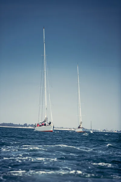 Sailing ship yachts with white sails — Stock Photo, Image