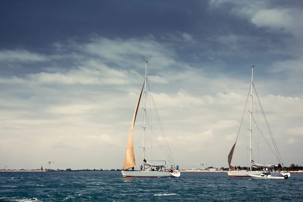 Segling fartyg yachter med vita segel — Stockfoto