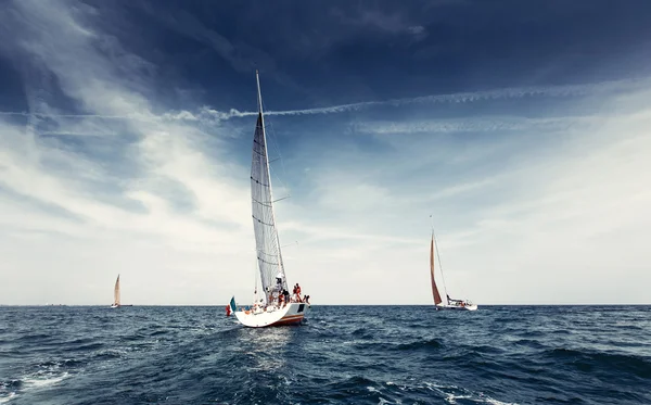 Barche a vela con vele bianche — Foto Stock