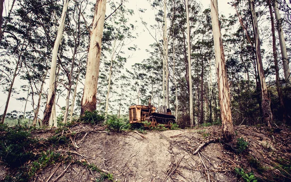 Rostiger Traktor im Wald — Stockfoto