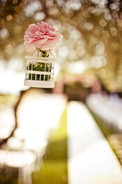 Ślubne dekoracje kwiatowe na drzewie — Zdjęcie stockowe