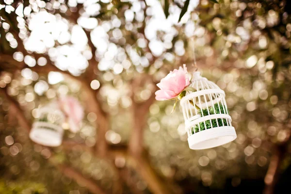 Matrimonio decorazione floreale sull'albero — Foto Stock