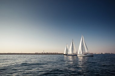 Beyaz yelkenli yelkenli gemiler