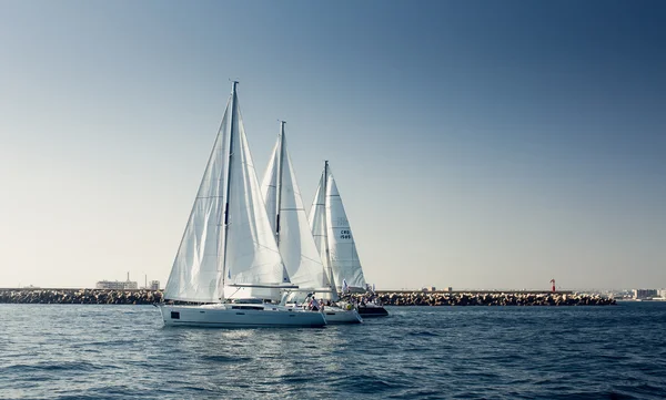 Yachts à voile avec voiles blanches — Photo