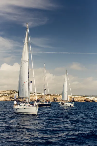 Segling fartyg yachter med vita segel — Stockfoto