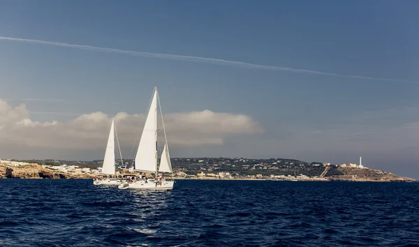 Segling fartyg yachter med vita segel — Stockfoto